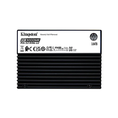 Kingston nvme-gen5 (3.83984375tb)
