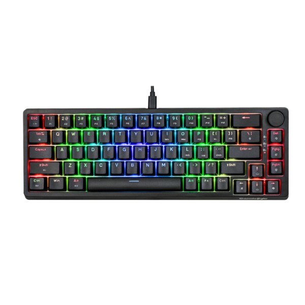 Cosmic Byte CB-GK-33 Astra 67 keys Mechanical Gaming keyboard with Outemu Blue Switches (Black)