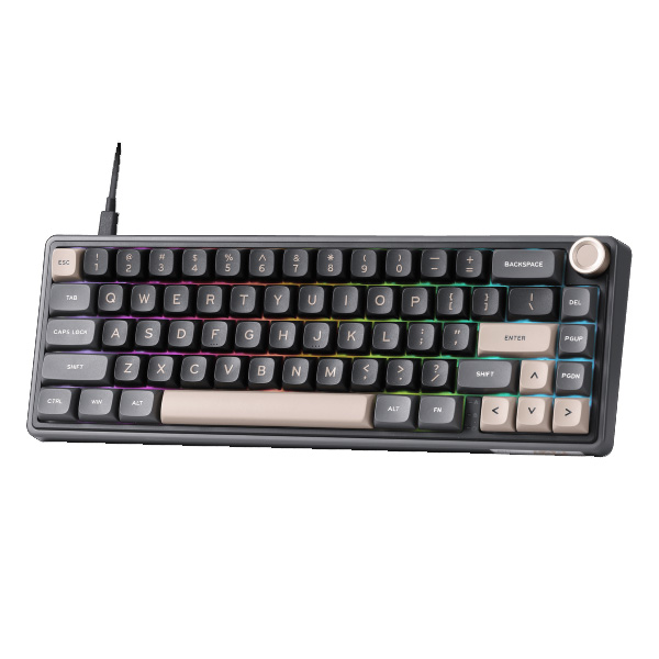 ROYAL KLUDGE RK R65 Phantom (CHARTREUSE Switch) Wired Mechanical Gaming Keyboard