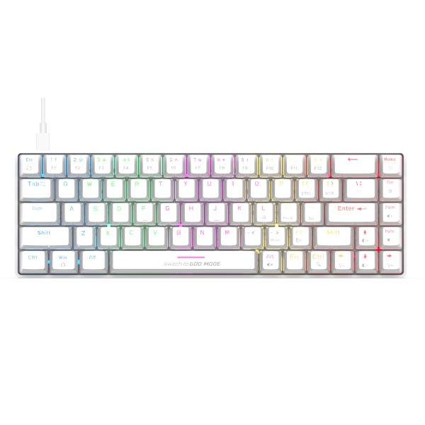 Cosmic Byte CB-GK-36 Artemis 68 Key Per Key RGB Wired Mechanical Gaming Keyboard with Outemu Blue Swappable Switches and Software (White)