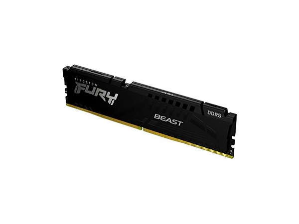 Kingston Fury Beast 16GB (16GB x 1) 6000MHz DDR5 CL40 Desktop Memory (KF560C40BB-16)