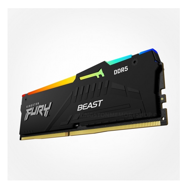 Kingston Fury Beast RGB 16GB (16GB x 1) 5600MHz DDR5 Desktop Memory (KF556C40BBA-16)
