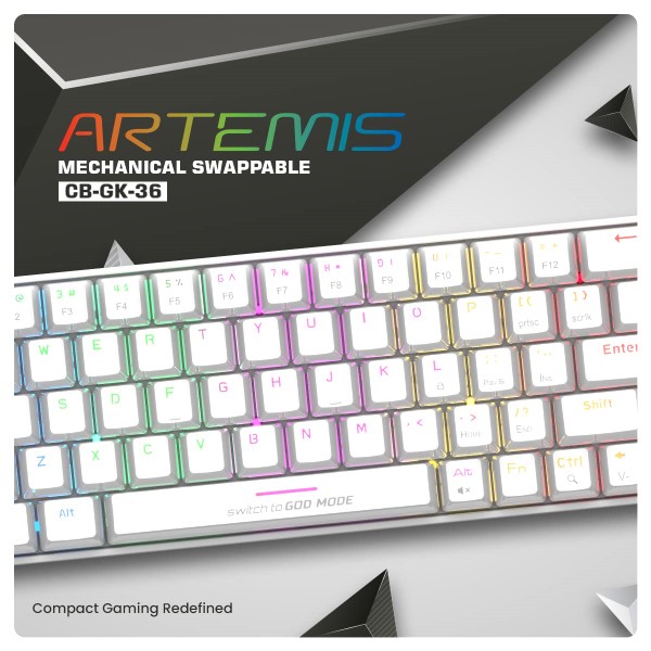 Cosmic Byte CB-GK-36 Artemis 68 Key Per Key RGB Wired Mechanical Gaming Keyboard with Outemu Blue Swappable Switches and Software (White)