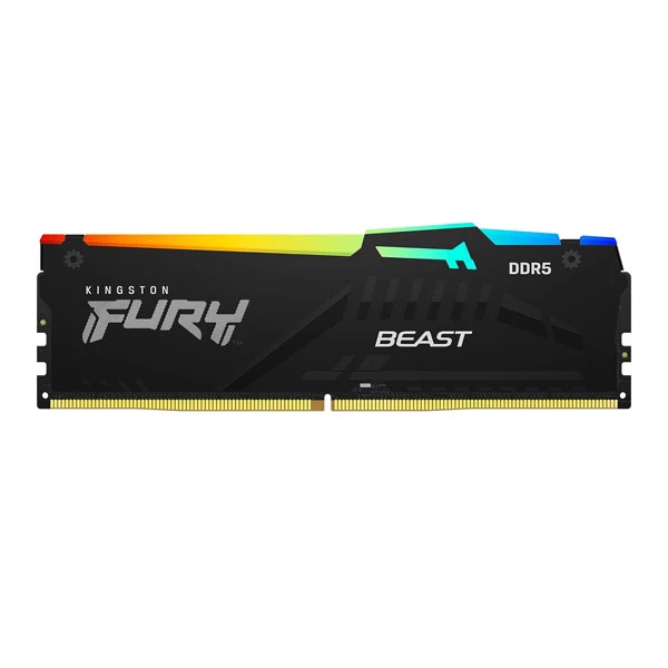 Kingston Fury Beast RGB 16Gb 6000Mhz (16GB X 1) DDR5 CL30 Desktop Memory With AMD EXPO (Black)