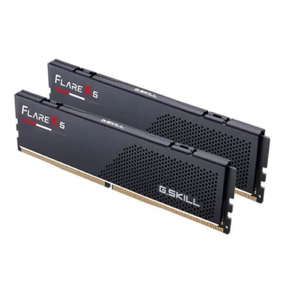 GSkill Flare X5 64GB (32GB x 2) 6000MHz DDR5 CL36 Desktop Memory