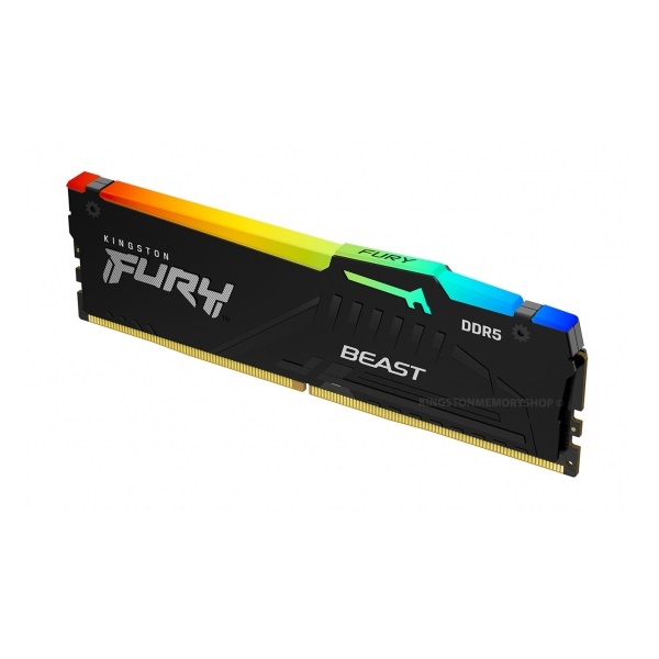 Kingston Fury Beast RGB 16GB (16GB x 1) 5600MHz DDR5 Desktop Memory (KF556C40BBA-16)