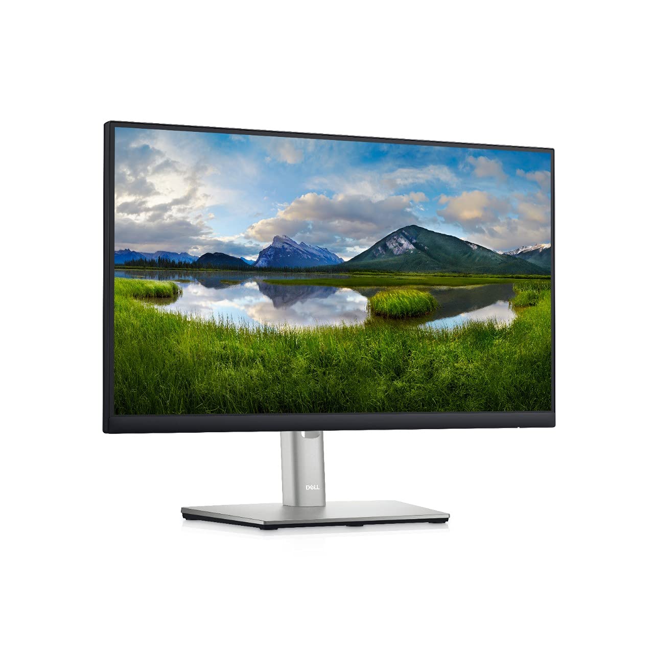 Dell P2225H 22 Inch FHD 100Hz 5Ms IPS Panel Monitor