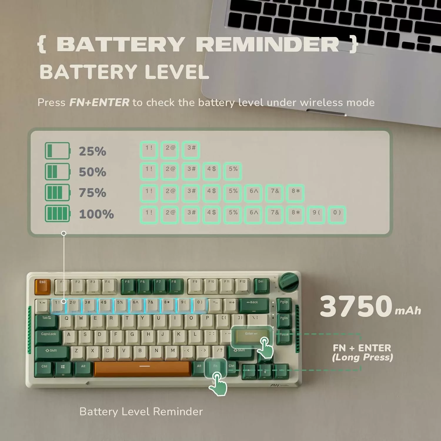 Royal Kludge RK H81 Timing Machine (Brown Switch) Mechanical Wireless Gaming Keyboard
