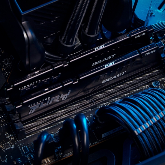Kingston Fury Beast 32GB (32GB x 1) 5600MHz DDR5 CL40 Desktop Memory (KF556C40BB-32)