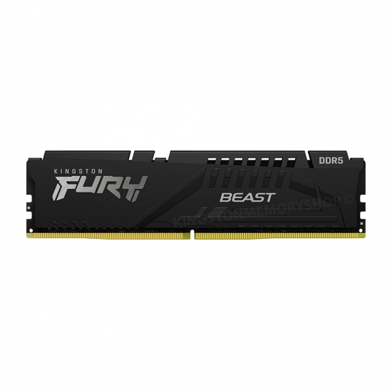 Kingston Fury Beast KF556C40BB-16 16GB DDR5 5600 MHz Desktop RAM (16GB x 1)