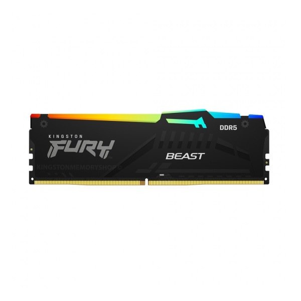 Kingston Fury Beast RGB 16GB (16GB x 1) 5600MHz DDR5 Desktop Memory (KF556C40BBA-16)