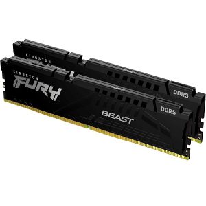 FURY Beast 32GB