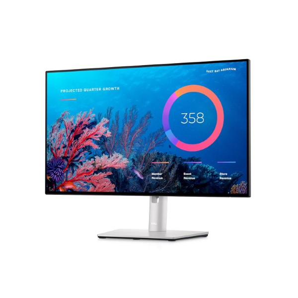 Dell U2422HE 24-Inch FHD 60Hz IPS Panel Monitor