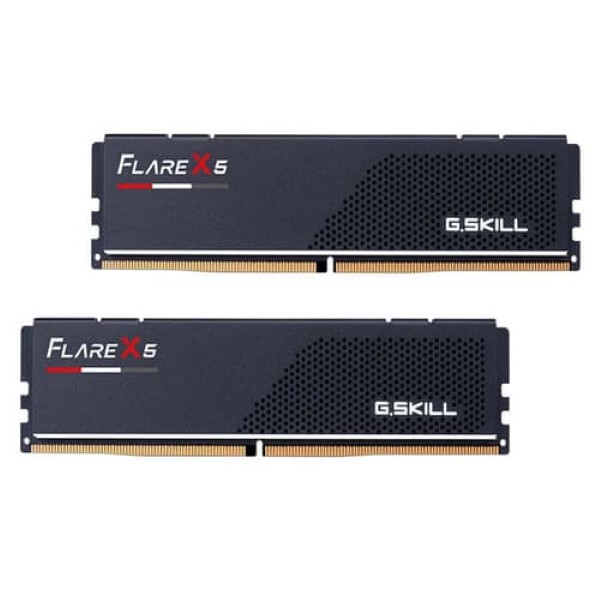 GSkill Flare X5 64GB (32GB x 2) 6000MHz DDR5 CL36 Desktop Memory
