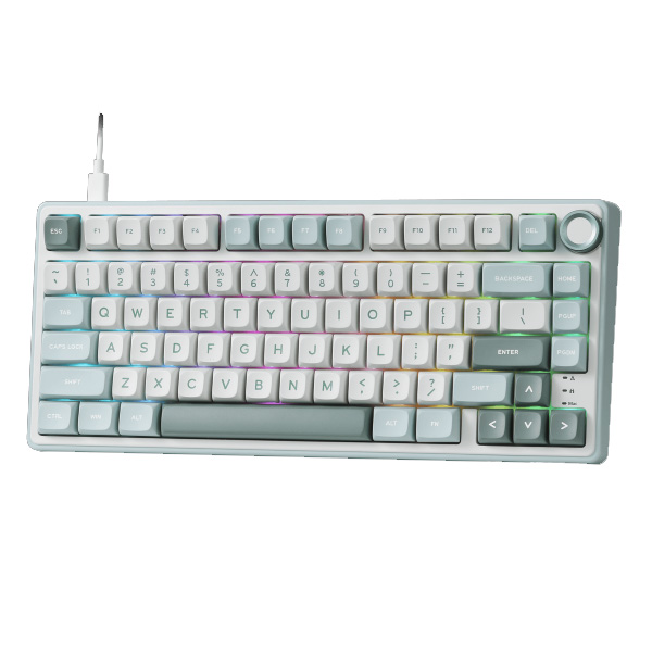 Royal Kludge RK R75 Sky Cyan (Brown Switch) Mechanical Wired Gaming Keyboard