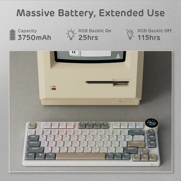 51++bNzpMOL._SL1500_